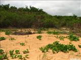 Playa Escondida - FAJARDO